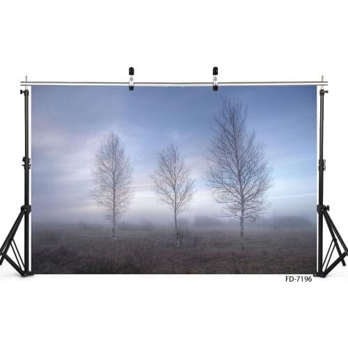 Morning Mist in the Wild Trees Photography Backgrounds Vinyl Cloth Backdrops for Children Portrait Dolls Photocall Photo Studio