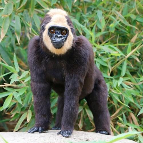 Realistic Orangutang Lifelike Gorilla Animal Figure Miniatures Home Outdoor Garden Decoration Handcraft Ornaments Child Toy Gift