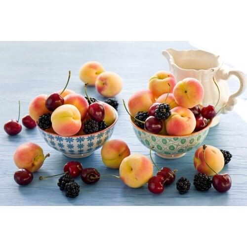 Peach Mulberry Cherry Various Fruit Paintings On Print Canvas Wall Art Modern Home Decor Irregular Picture Still Life Artworks