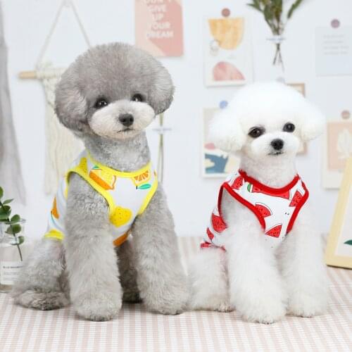 2021 Spring And Summer New Cute Pet Dog Clothes Five-Color Fruit Vest Teddy Puppy Cat Summer Thin Section