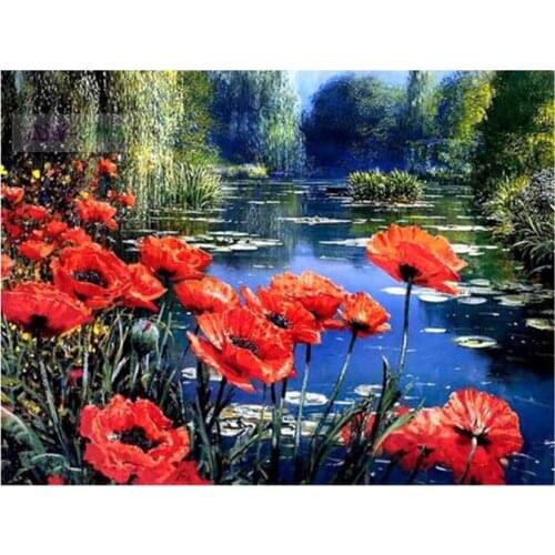 Diy diamond painting full Diamond embroidery square/round drill rhinestone diamond mosaic crafts Wild scene poppy flower WG150