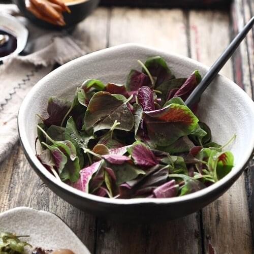 Japanese style creative ceramic large noodle bowl 9 inch soup bowl household tableware thickened ramen bowl