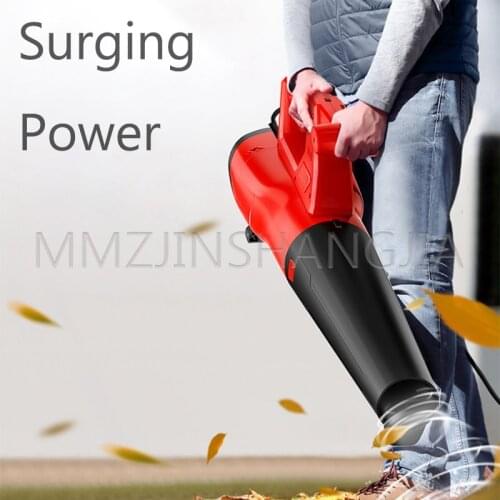 MMZJINSHANGJIA Technical Hair Dryers
