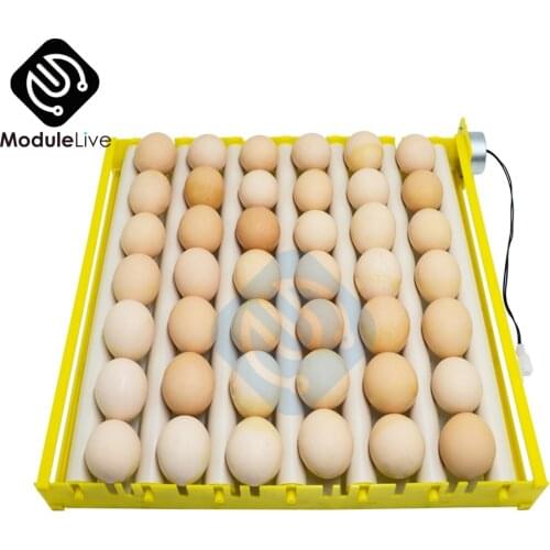 360° Automatic Rotary Egg Turner Roller Tray Egg Incubator Accessories Roller Pattern Egg Turner Tray 42 Eggs Hatching Incubator