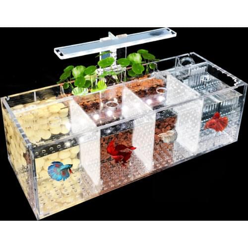 Aquarium Pet Betta Fish Tank Acrylic Transparent Isolation Free Water Pump Filters Clear Bucket Fish Tank Desktop LED Light