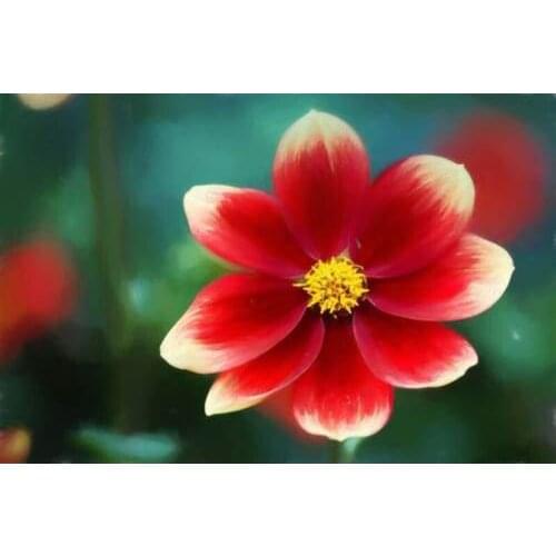 GLymg DIY Diamond Embroidery Handicrafts Kits Mosaic Gift Deep Red Flower 5d Diamond Painting Embroider Wall Arts Decor