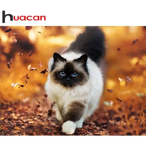 Huacan 5D DIY Diamonds Embroidery Kits Cat Diamond Painting Full Square/Round Animal Decorations Home Gift