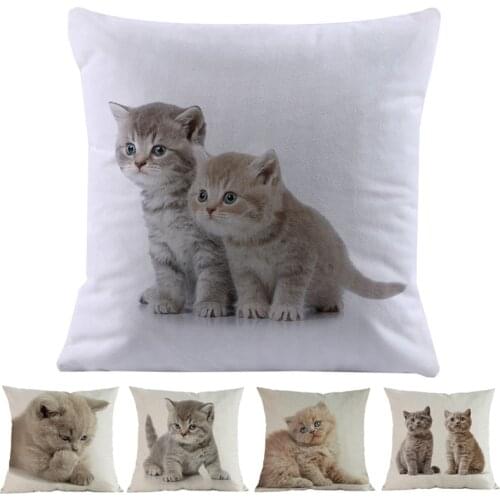 Cute Small Cats British Short Hair Kitten Linen Short Plush Throw Pillow Case Home Pets Store Car Sofa Decorative Cushion Cover
