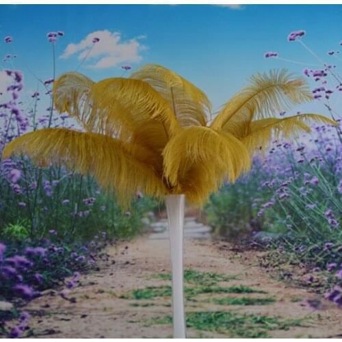 Sales of high-quality 50pcs / Many ostrich feathers 50-55cm, DIY wedding decorations / decorative home accessories