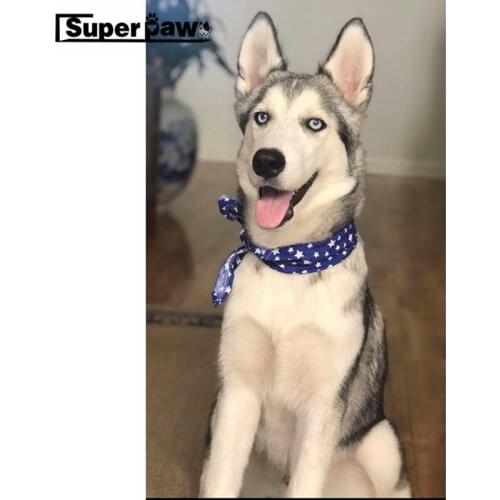 Adjustable Pet Dog Cat Neck Scarf Tie Bowtie Necktie Bandana Collar Neckerchief Dog Grooming Accessories Dropshipping ZLC07