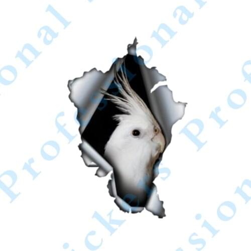 3D Animal 13 x 4.8 Crow black bird Sticker Torn Metal Decal Wild Animal Lovely Car Stickers Motorcycle Vinyl 3D Car Styling