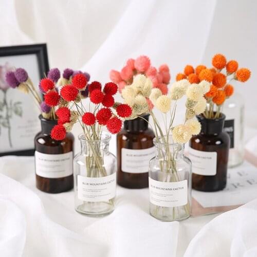 10Pcs Dried Strawberry Flower Real Plant Preserved Artificial Flower Wedding Deco Marriage Home Room Decoration Accessories