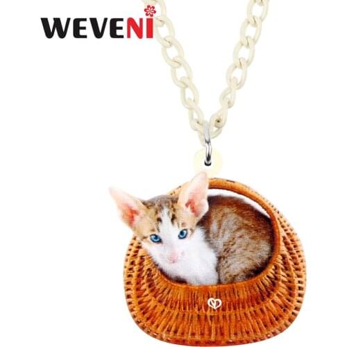 WEVENI Acrylic Cute Basket Kitten Cat Necklace Pendant Chain Collar Unique Fashion Jewelry For Women Girls Party Birthday Gift