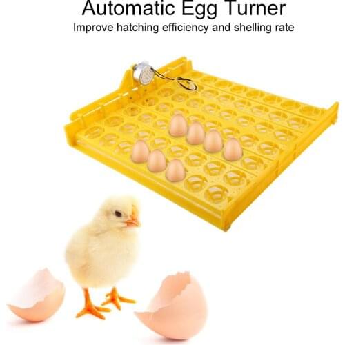 56 Eggs Mini Incubator Hatcher Automatic Egg Turning Tray Tool with Motor Convenient and Safe Egg Incubator
