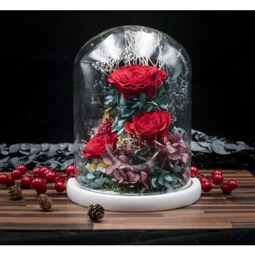 Dried Flower Preserved Fresh Rose The Beauty And Beast With LED Atmosphere Light For Anniversary Birthday Home Decor Christmas