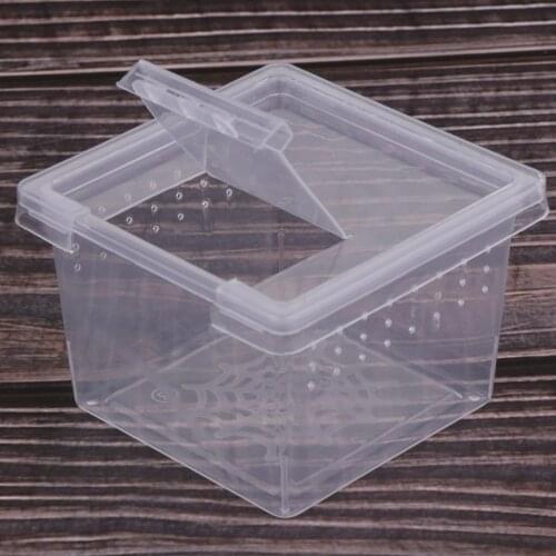 10pcs Feeding Box Tortoise Spider Beetle Insect House Reptile Cage Hatching Container Rearing Tank for Lizards Terrarium