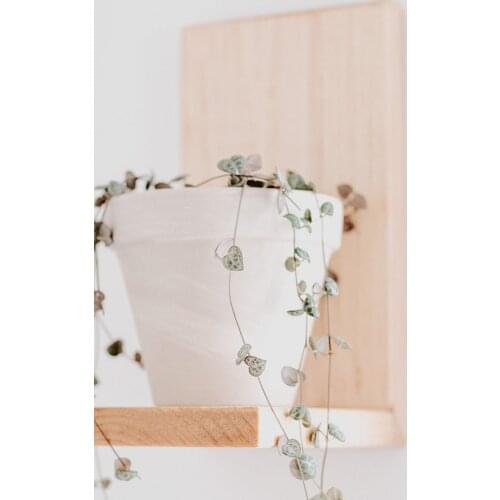 Trend Minimal Wooden Wall Mounted Floating Shelf Candle Plant Trinket For Flower Pot Indoor Balcony Garden Home Decoration