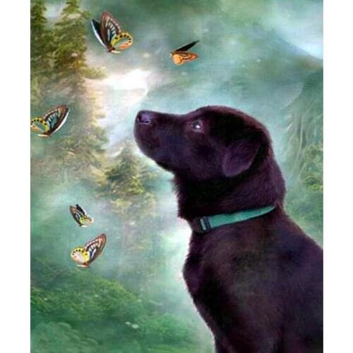 Full Square/Round 5D DIY Diamond Painting butterfly" womlabrador retriever"3D Embroidery Cross Stitch Kits Mosaic Decor TY486