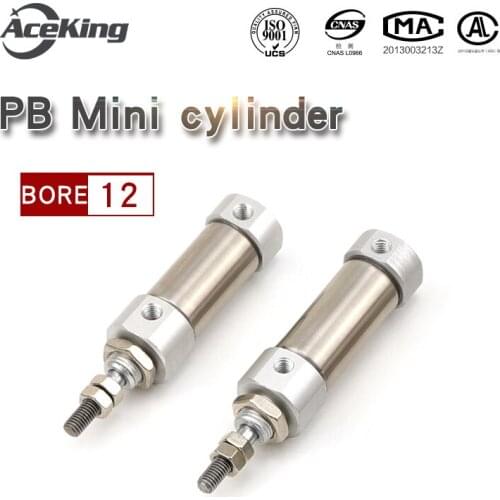 PB Stainless steel mini cylinder pen cylinder PB12*5X10X15X20X25X30X35X40X50X60SU small cylinder PB12X10SU PB12X20SU PB12X50SU