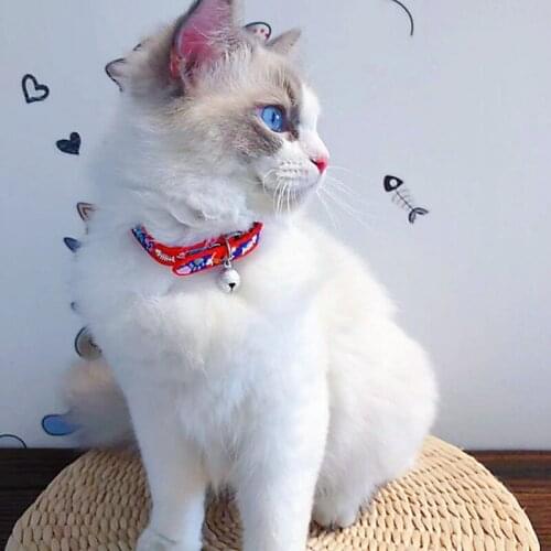 Adjustable Cat Dog Collar With Bell Easy Wear Buckle Dog Collar Cat Puppy Chihuahua Small Dog Collar