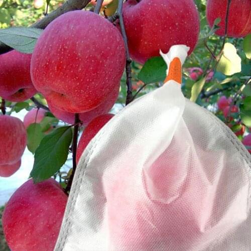 100Pcs Grape Protection Bag Anti-Bird Moisture Insect Net Bag Vegetable Fruit Protect Breeding Bag Prevent Fruit Tree Mosquitoes