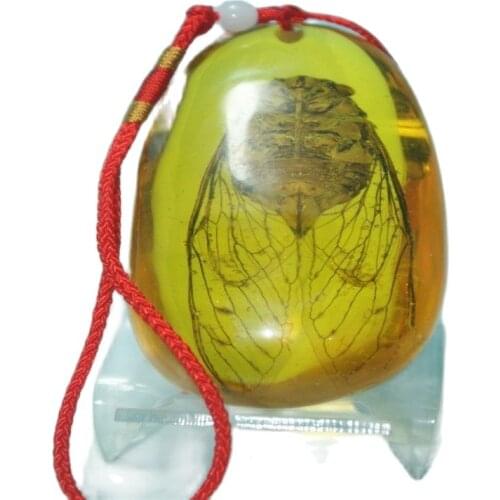 China Old Amber Unique Cicada Amber Pendants Classic Art Collection And Home Decorations