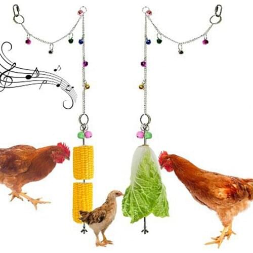 Stainless Steel Useful Hens Large Birds Treat Hanging Feeder Feeding Accessory Chicken Fruit Holder Flexibility for Pet
