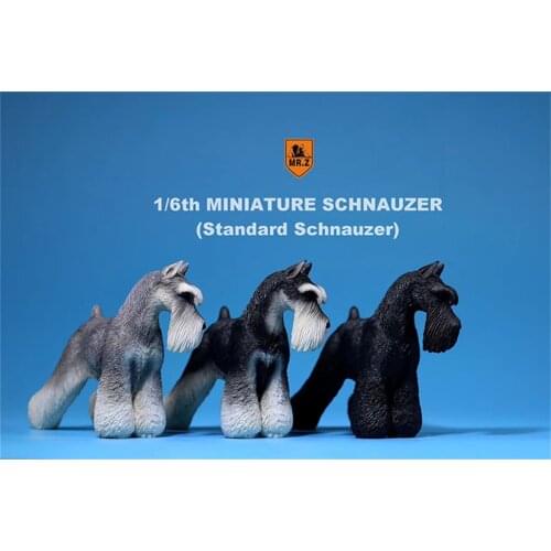 Mr.Z Studio 1:6 Standard Schnauzer Dog Pet Figure Animal Toys Collector Decoration Gift Simulation Model Home Car Decoration