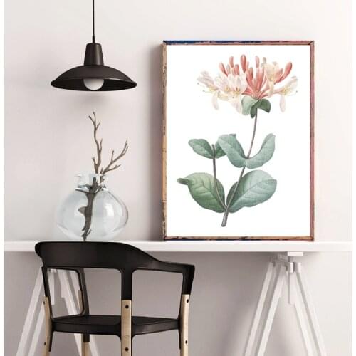 Flower Print Honeysuckle Botanical Floral Poster Italian Honeysuckle Hand Drawing Painting Wall Art Canvas Picture Home Decor