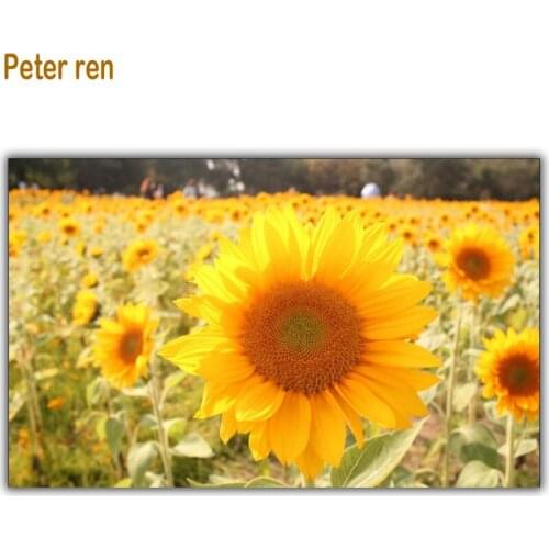 Diamond painting cross stitch Diamond embroidery sunflower garden Full coverage square diamond mosaic rhinestone Arts and Crafts