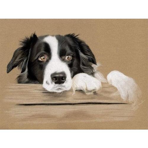 Animal Border Collie DIY Embroidery Cross Stitch 11CT Kits Craft Needlework Set Printed Canvas Cotton Thread Home Sale