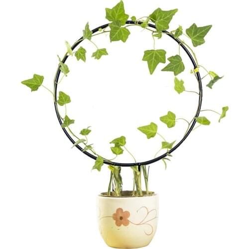Climbing Vine Rack Flower Plant Trellis Support Frame Love Heart Round Shaped Plant Decorative Trellis Bracket Vegetables Potted