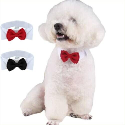 Pet Products Fashion Adjustable Bow Tie-Collar Necktie Bowknot Clothes For Pet Dog Cat New