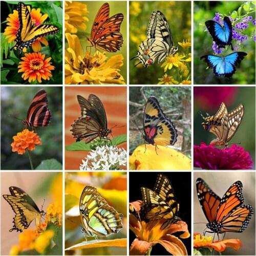 Butterfly Pattern 5D DIY Diamond Painting Cross Stitch Kits Diamond Art Crystal Mosaic Embroidery Painting Home Decor Gift