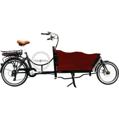 Electric Cargo Bike Pedal Riding Family Outside Tricycle Park Popular Tourist Cart Two Wheels Hot Sale EU USA