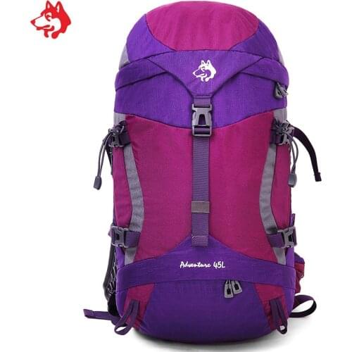 45L Purple grey color Outdoor Rucksacks Backpack for Camping good quality 3D Mountaineering bag