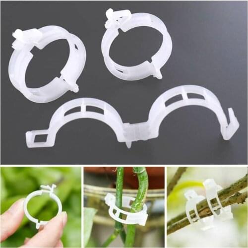 50/100pcs Plastic Plant Clips Supports Connects Reusable Protection Grafting Fixing Tool Gardening Supplies for Vegetable Tomato