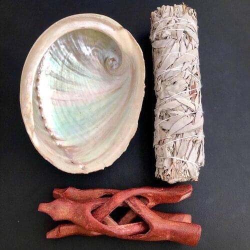 13-15cm Large Abalone Shell Natural Seashell Nautical Home Decor Soap Holder Specimen Beach Wedding Decor Aquarium Landscape