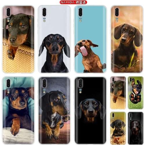 Dogs Dachshund Cute TPU Soft Cases For Huawei P40 P30 P20 Pro P10 P9 lite P Smart Z 2019 2020 Cover
