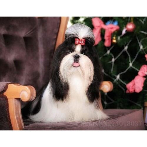 Diamond Mosaic Diy Diamond Embroidery Long Hair On The Chair Diamond Painting Cross Stitch Floral Rhinestone Decoration Stickers