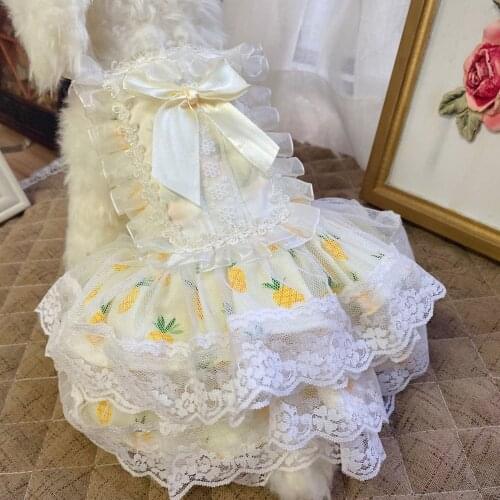 Dog Skirt Princess Puff Skirt Teddy Bichon Pet Dress Spring and Summer Thin Lolita Small Dog Dress Chihuahua Miniature Yorkshire