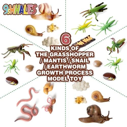 Simulation Earthworm,Grasshopper,Mantis,Snail Life cycles Animal Model collection Action Figures Teaching Educational toys