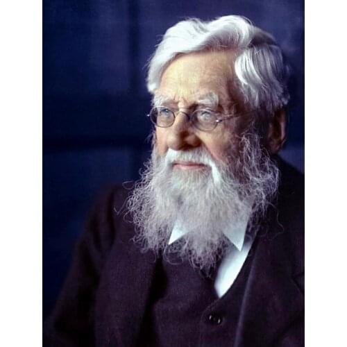 TANGYONG ART Oil Paints