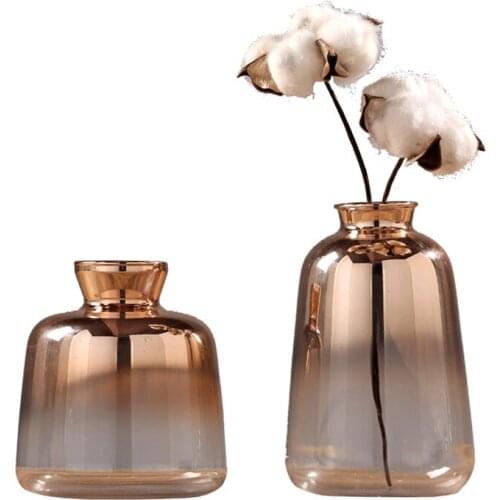 Home Decoration Glass Vase Hydroponic Vases Living Room Desktop TV Cabinet Flower Vase Ornaments Plants Flower Pots Container
