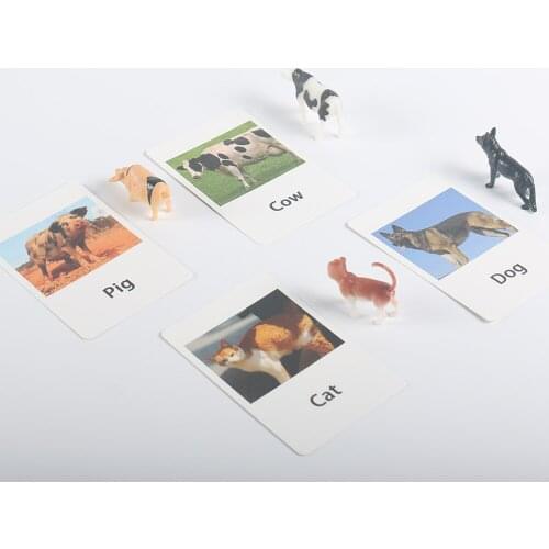 Montessori Toys For 3 Year Olds Marine Animals Educational Early Learning Toys For Children Birthday Gift MJ1364H