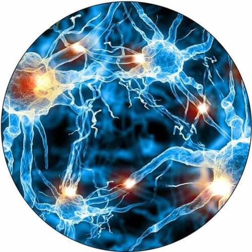 Interesting Car Stickers Decal for Nerve Cell Biology Science Cool Gift Car Styling PVC 13cm X 13cm Vinyl Motorcycl Accessories