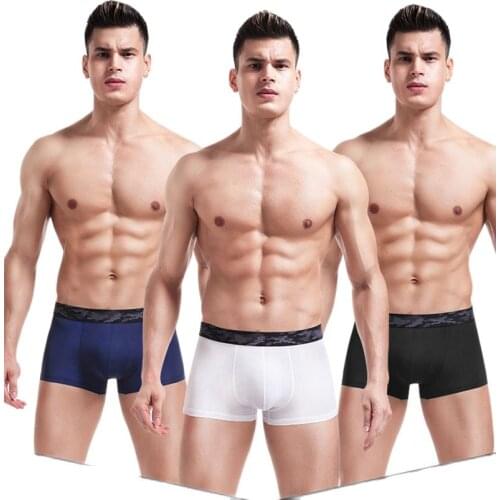 Comfortable Ice Silk Mens Underwear Perspective Pants Breathable Mid Waist U Convex Men Sexy Boxer Shorts Solid Male Boxer