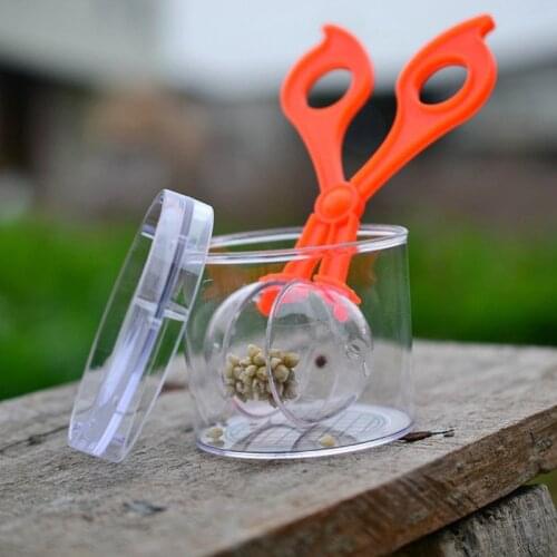 Nature Exploration Toy Kit Kids Plant Insect Study Tools Plastic Scissor Clamp Tweezers Inset Round Head Scissors Clamp Toys New
