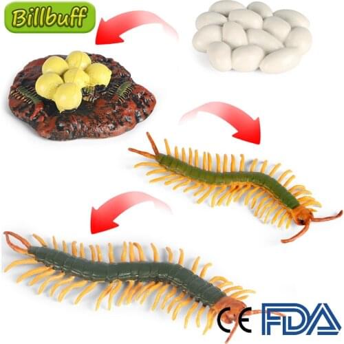 New Simulation Animal Growth Model Cycle ABS Snake Centipede Earthworm Figures Collection Cognition Educational Toy for Children