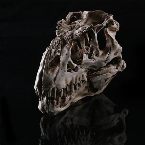 1PC Tyrannosaurus Rex Dinosaur Skull Handicrafts Resin Fossil Simulation Skull Model For Collectibles Light Color 15*11.5*8cm